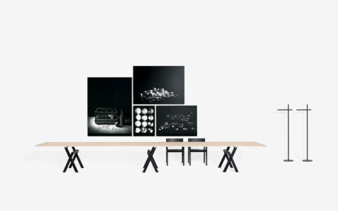 Image Not Found On Media Library