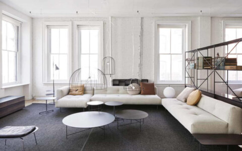 Image Not Found On Media Library