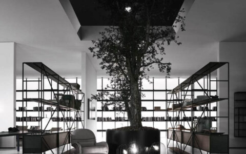 Image Not Found On Media Library